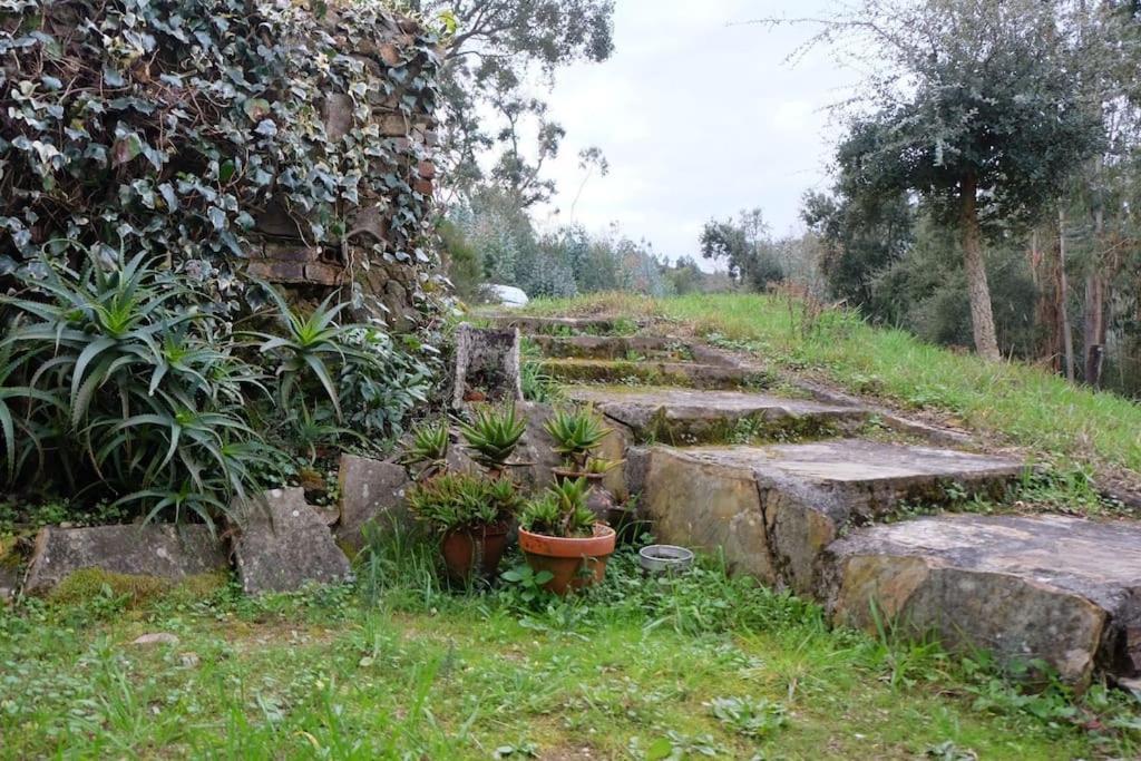 Villa Casa Da Ruiva Serra Exterior foto